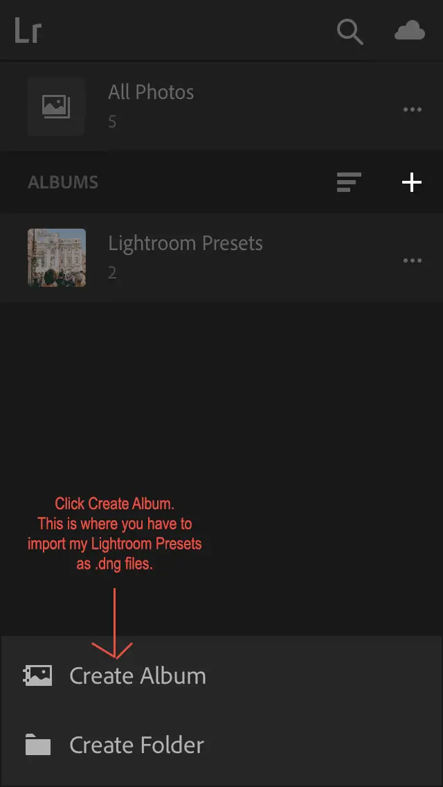 Create Album Import dng files lightroom presets Paris Chic Style 2