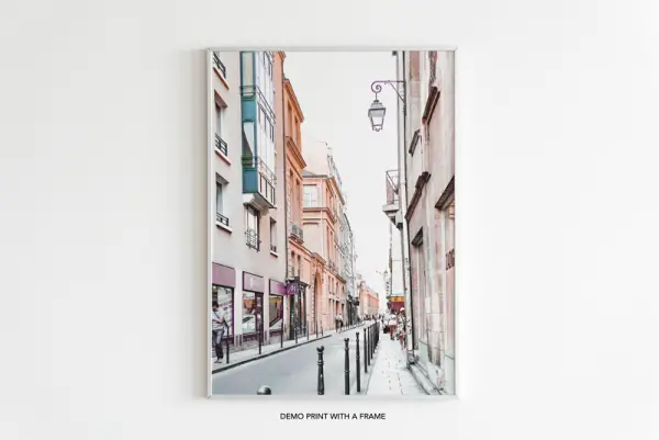 demo_paris_chic_style_france_paris_wall_art_travel_parisian_streets_theme_decor_print-12-2